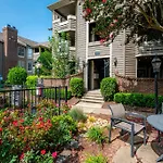 Viagem - Charlotte - Cozy 1BR W/Gym+Pool+Parking